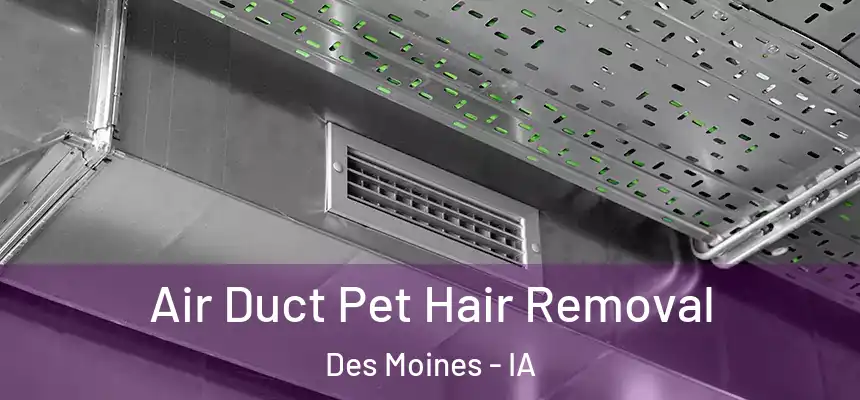 Air Duct Pet Hair Removal Des Moines - IA