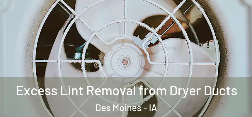 Excess Lint Removal from Dryer Ducts Des Moines - IA
