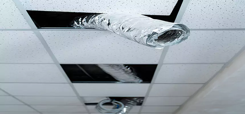 Our Air Duct Pet Hair Removal Services in Des Moines, IA