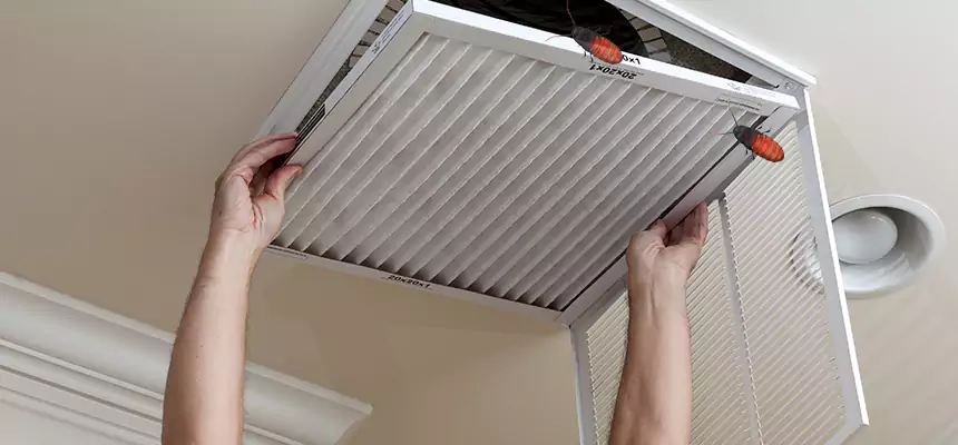 Our Insect Removal from Air Ducts Services in Des Moines, IA