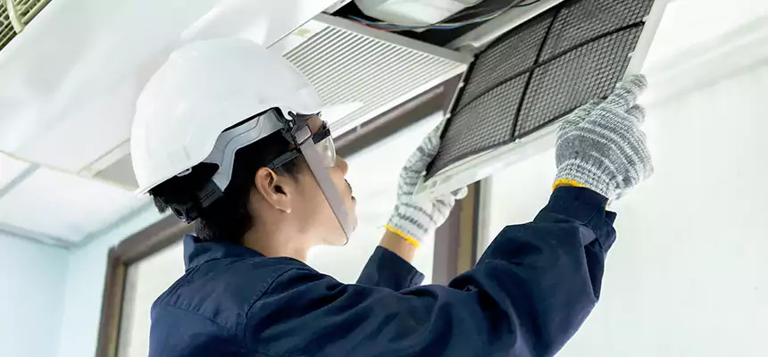 Our Mold & Mildew Removal from Air Ducts Services in Des Moines, IA