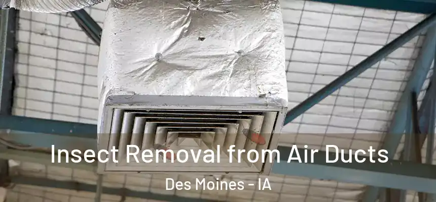 Insect Removal from Air Ducts Des Moines - IA