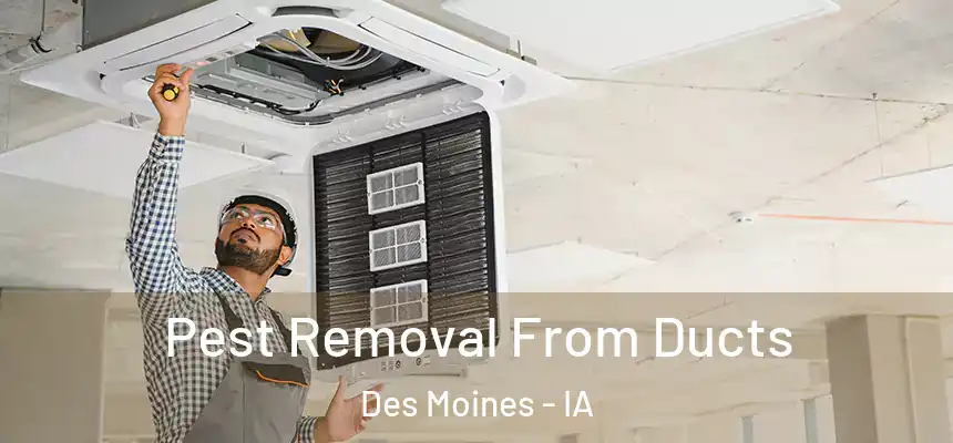  Pest Removal From Ducts Des Moines - IA