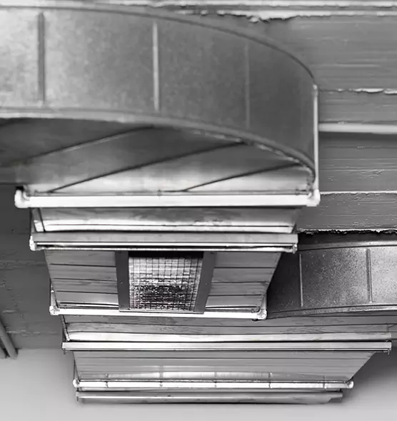 Professional Air Duct Pest Removal in Des Moines, IA