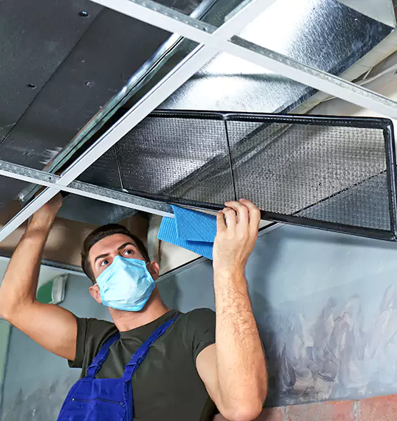 Professional Air Duct Pollen Cleaning in Des Moines, IA