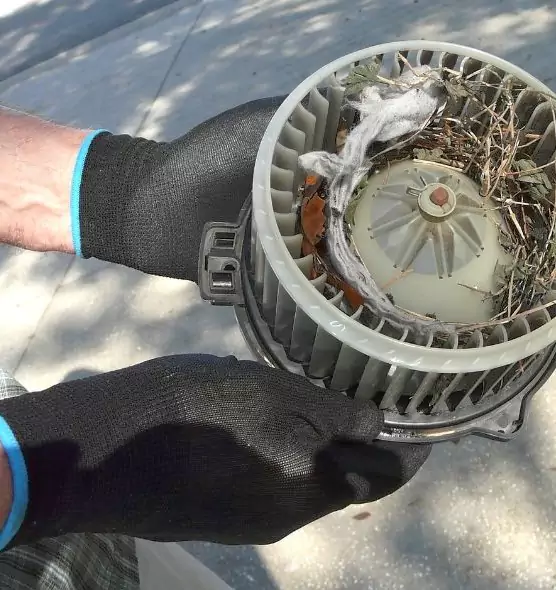 About Air Duct Rat Removal in Des Moines, IA