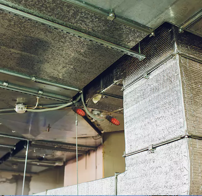 Why Homeowners & Businesses Trust Us in Des Moines, IA?