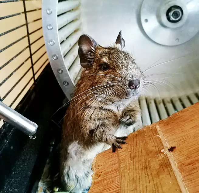 Why Homeowners & Businesses Trust Us Des Moines, IA