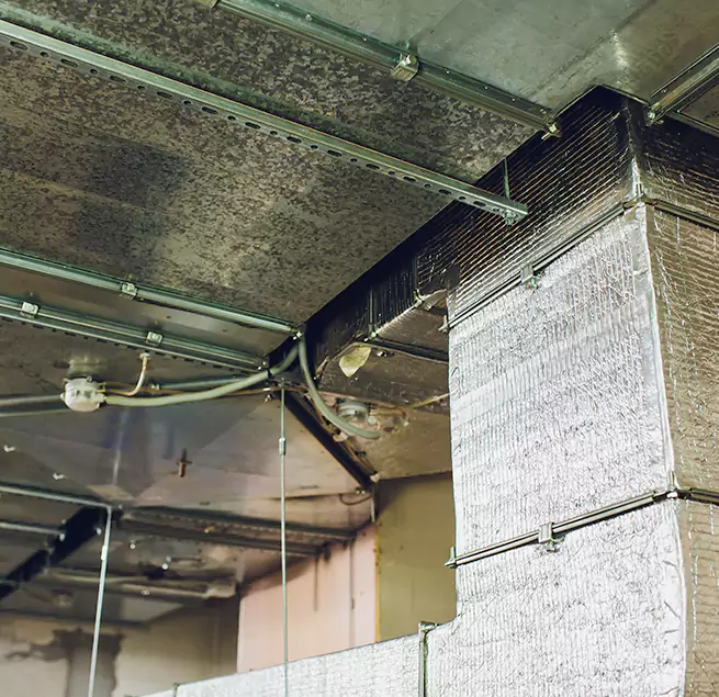 Why Homeowners & Businesses Trust Us in Des Moines, IA?